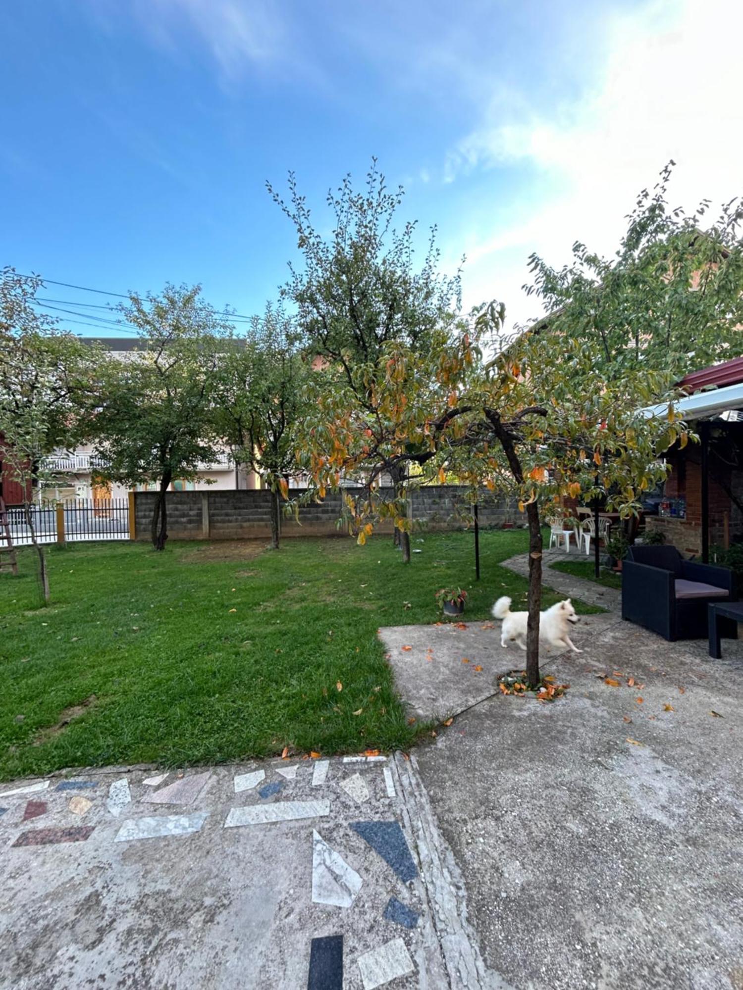 Apartment La Bocca Free Parking